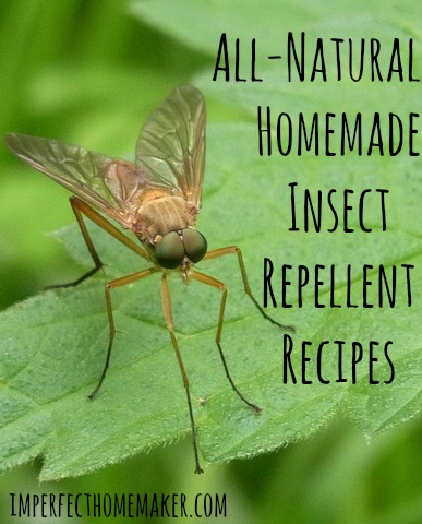 Homemade Insect Repellent