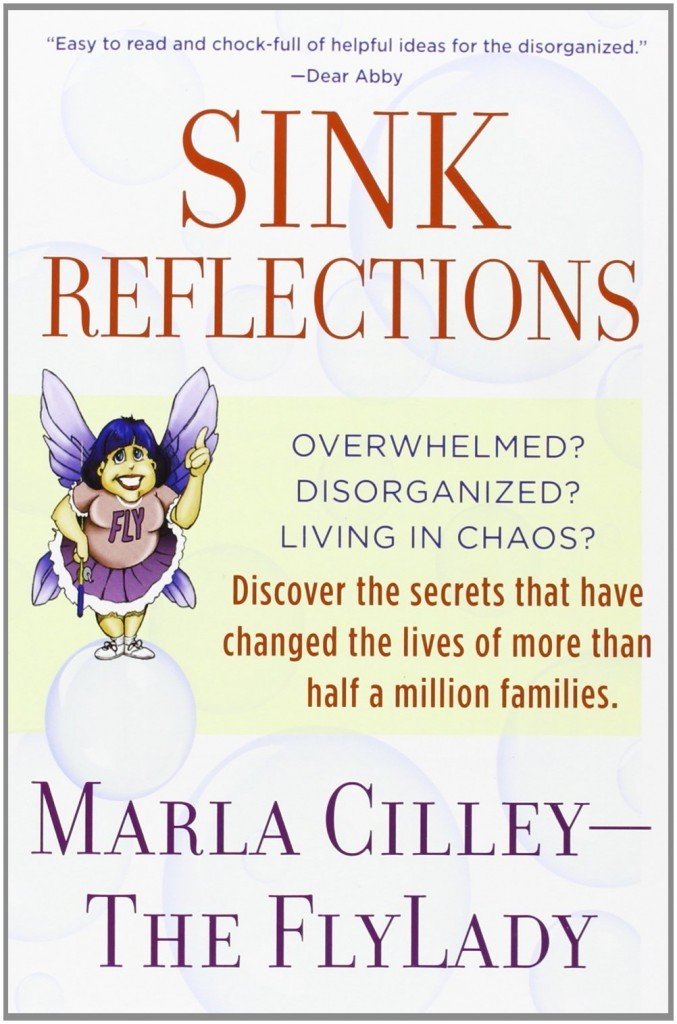 Sink Reflections - Learn How to Take Control of Your Messy House!